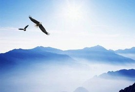 企業(yè)價(jià)值觀