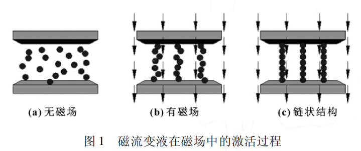 磁流變液在磁場(chǎng)中的激活過(guò)程